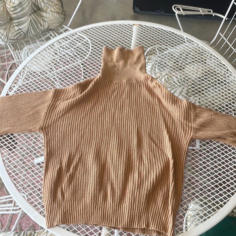Tan/beige sweater size large ambiance apparel